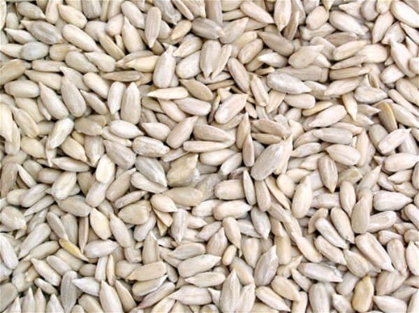 Sunflower Kernel Seeds