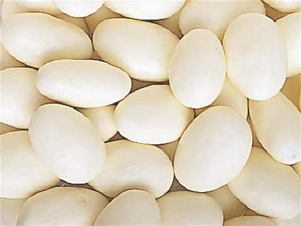 Yogurt Coated Almonds