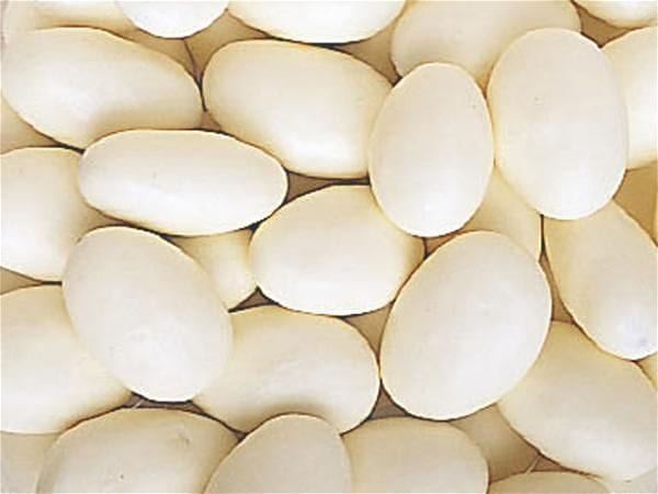 Yogurt Coated Almonds